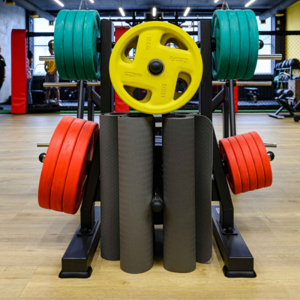 Диск обрезиненный FASSION цветной D51 мм PROFI-FIT
