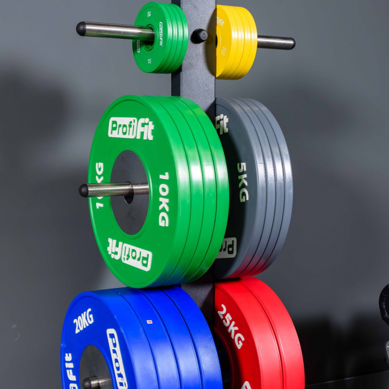Стойка для олимпийских дисков ТАНГЕН A3054