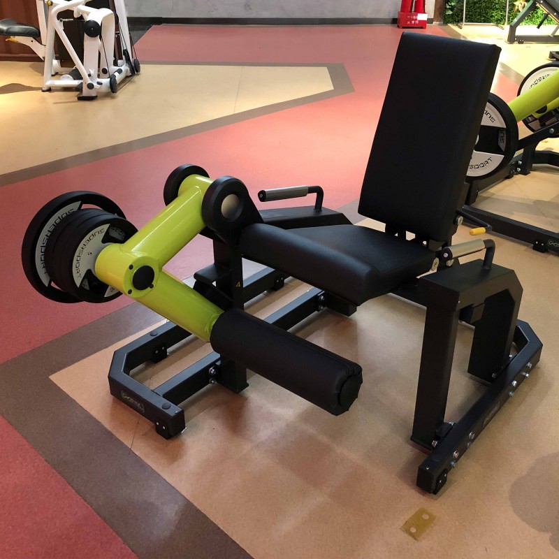 Technogym Leg Extension mg6500