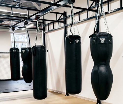 Система монорельсовая для боксерских мешков на движущихся опорах