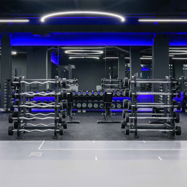 Набор изогнутых полиуретановых штанг (шаг 5 кг, 5 шт) 35-55 кг PROFI-FIT